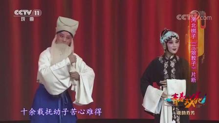 经典河北梆子《三娘教子》片段 王氏母亲 感