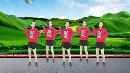 动感DJ广场舞《花开的时候你就来看我》简单