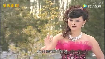 秦腔名家《谭天杏个人演唱专辑》（共20段）下载
