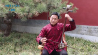 琴书《孝母》非物质文化遗产琴书传承人 坐