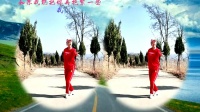 广场舞《想你的情歌》 歌手林艳个人版演示