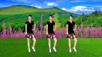 中老年健身操《野花香》简单好看分解教学