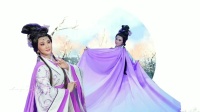 潮剧《绣虎》选段《一园秋色数声蝉》  王美芳演唱 广东潮剧院一团下载