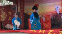 茂腔折子戏《张郎休妻》管秀娥 吴瑞芹演唱