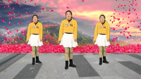 广场舞《多余的温柔》完整版背面演示 好听