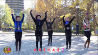 玲珑广场舞《兵哥哥》美丽大方的舞蹈欢快简