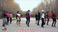 玲珑广场舞《一晃就老了》简单又好看附教学