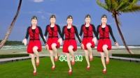 广场舞《十里桃花一生情》简单易学附教学