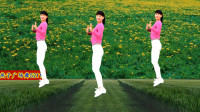 广场舞《第一次见你的时候》轻快16步附教学
