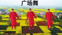 广场舞《再叫一声亲爱的真的好想你》简单入