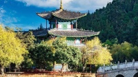 河南坠子《战役情》《共圆中国梦》