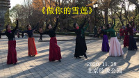 广场舞《做你的雪莲》简单32步动作轻松学会