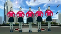DJ版广场舞《月亮惹的祸》零基础大众健身舞