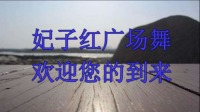 广场舞《梦中的兰花花》简单易学口令分解