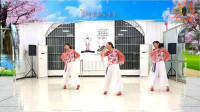 广场舞《桃花谣》正背面演示附慢速口令教学