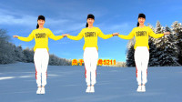 广场舞《明月夜再见已是故人》舞步简单时尚