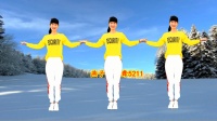 广场舞《苦苦思念的人》抒情优美附正背面口