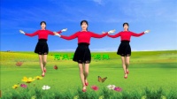 阿采原创广场舞 《爱如蝴蝶飞》适合在家里