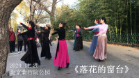 广场舞《落花的窗台》初学广场舞一步一步教