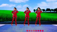 陕北情歌广场舞教学版《山那边》学广场舞一步一步教慢动作8步下载