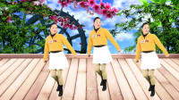 广场舞《回头看看我》免费下载在家也能学