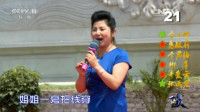 秦腔《三滴血》选段 兄弟窗前把书念 青年小
