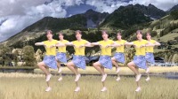 DJ广场舞《花开的时候你就来看我》舞姿风韵