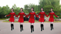 广场舞《想你就能梦见你》动感欢快正背面演