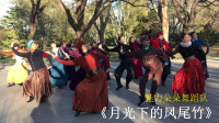 广场舞《月光下的凤尾竹》64步前后点地教学