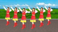 广场舞《草原的夏天》这首歌太好听了怎么也