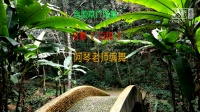 含羞草广场舞《白狐》舞步简单 好看易学 附