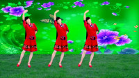 广场舞《语花蝶》优美抒情32步旋律优美百看