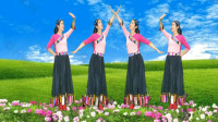 民族风广场舞《相约草原》天籁之音满天山优