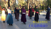 广场舞《天边的骆驼》网红32步很火健康跳起