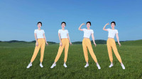 广场舞《东北的冬东北的情》瘦腰腹瘦的操简