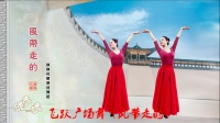 飞跃广场舞《风带走的》简单入门64步附教学