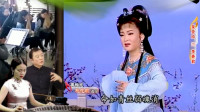 黄梅戏名家名段《桃花扇》 表演 吴亚玲下载