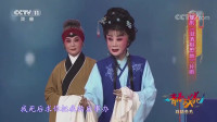 经典豫剧《泪洒相思地》片段 看着看着 使人