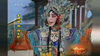 京剧《贵妃醉酒》选段 海岛冰轮初转腾  名