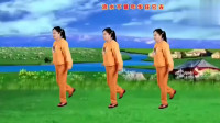 DJ版广场舞《明月夜》吉平独特的嗓音唱火了