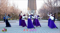 玲珑广场舞《凉凉》梦璇小红暴静等美女们跳