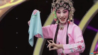 评剧《花为媒》经典选段 张琪饰演李月娥