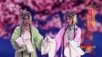 精彩评剧《桃李梅》片段 三个美女一台戏 好