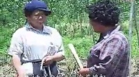 民间小调《吃着碗里看着锅里》全集