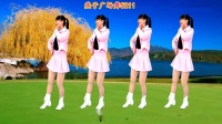 广场舞《梨山痴情花》简单易学 附分解教程