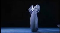 昆曲青春版《牡丹亭》主演 沈丰英 俞玖林 