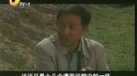 眉户剧《李双成》