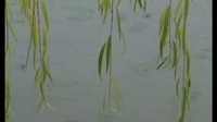 柳琴戏《情断桃花岛》中集 主演 姬光荣 姚秀云 李兴亚下载