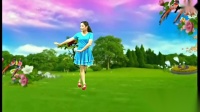 兰兰爱创广场舞《心在路上》动作简单大方好
