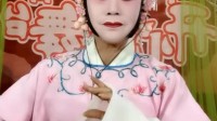 楚剧《赵玉珍装疯》演唱者 吕虹下载